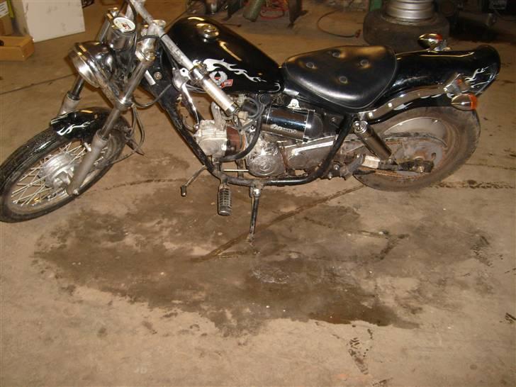 Regal Raptor solgt billede 3