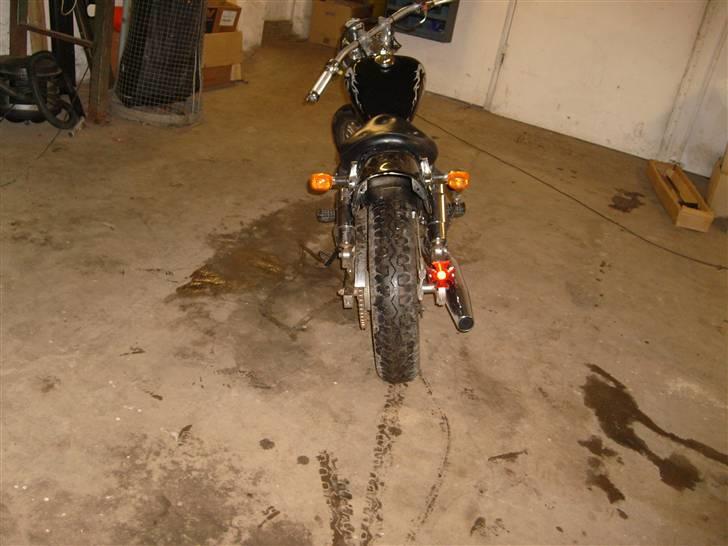 Regal Raptor solgt billede 5