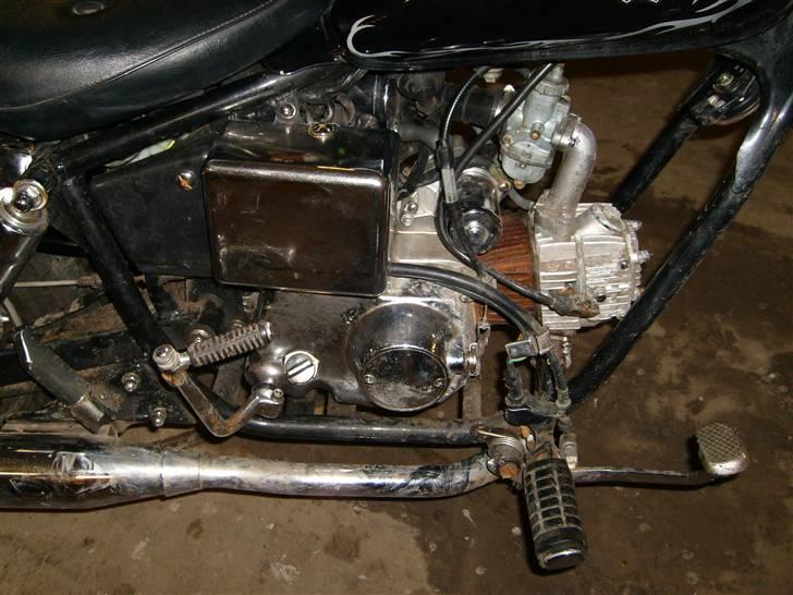 Regal Raptor solgt billede 6