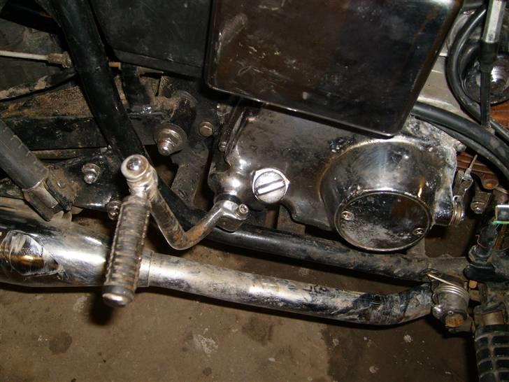 Regal Raptor solgt billede 8