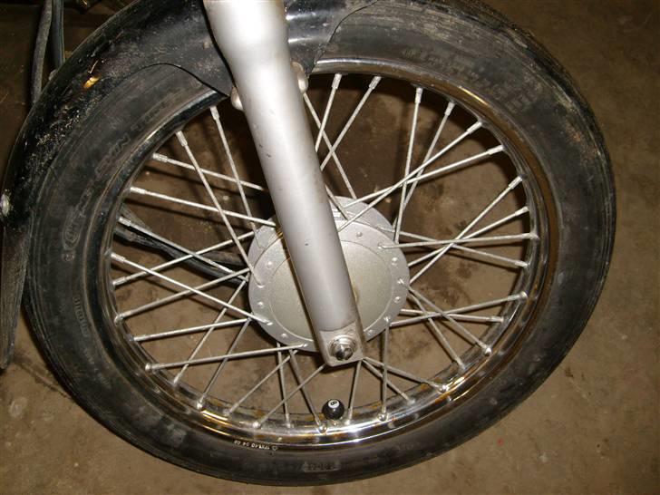 Regal Raptor solgt billede 9