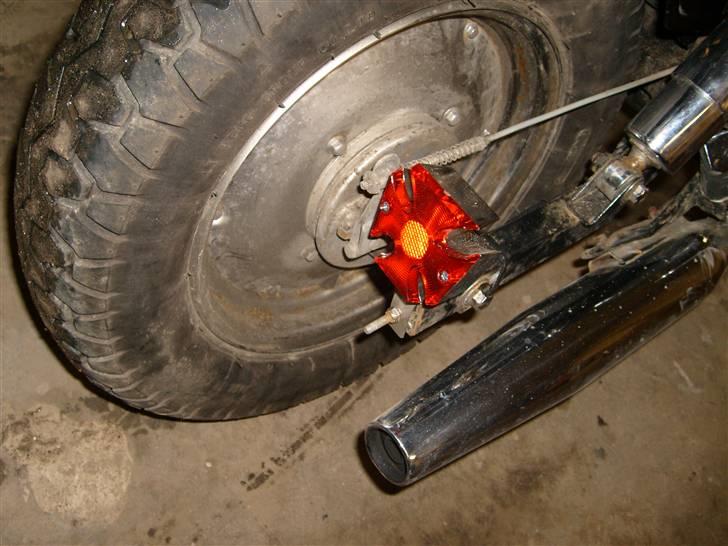 Regal Raptor solgt billede 10