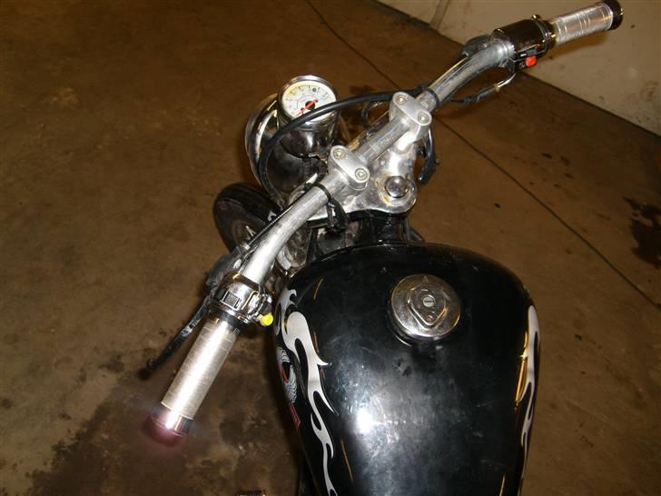 Regal Raptor solgt billede 12