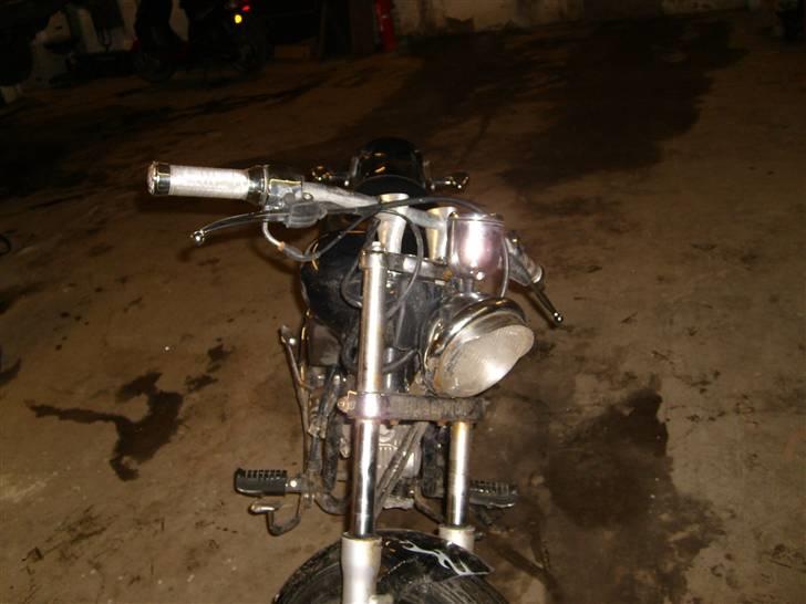 Regal Raptor solgt billede 13