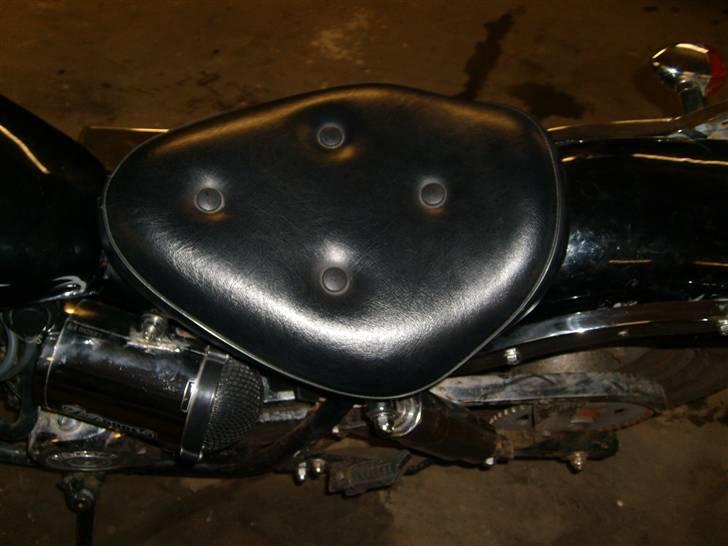 Regal Raptor solgt billede 14