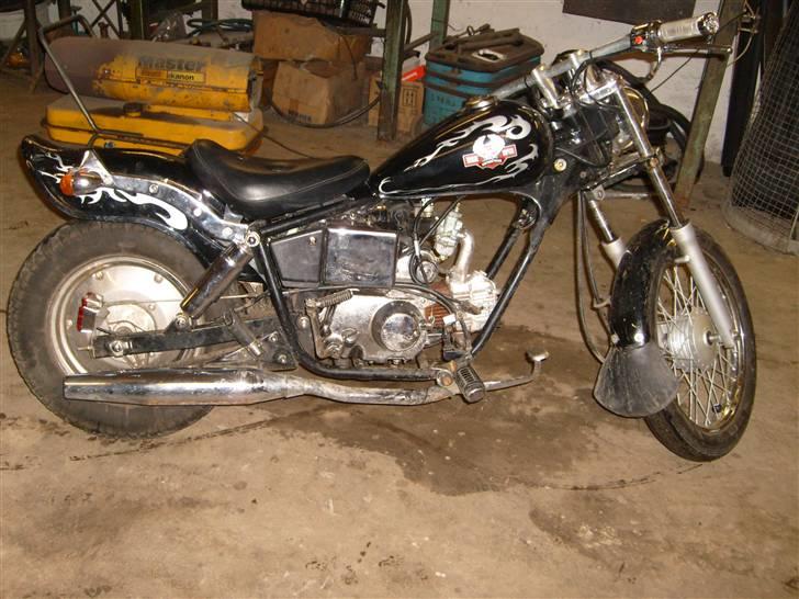 Regal Raptor solgt billede 15