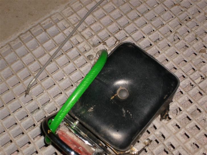 Regal Raptor solgt billede 18