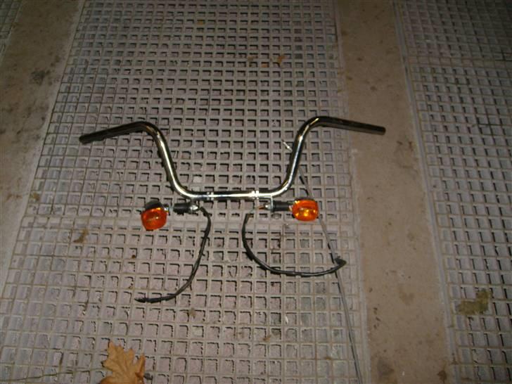 Regal Raptor solgt billede 19