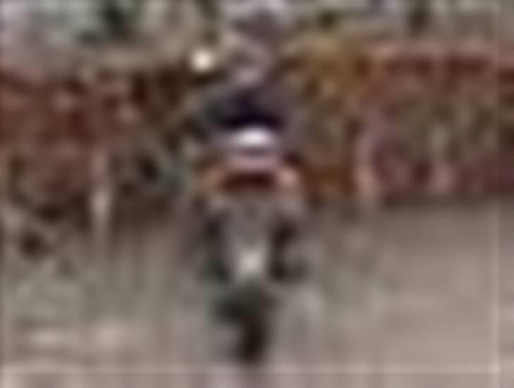 Gilera stalker solgt billede 14