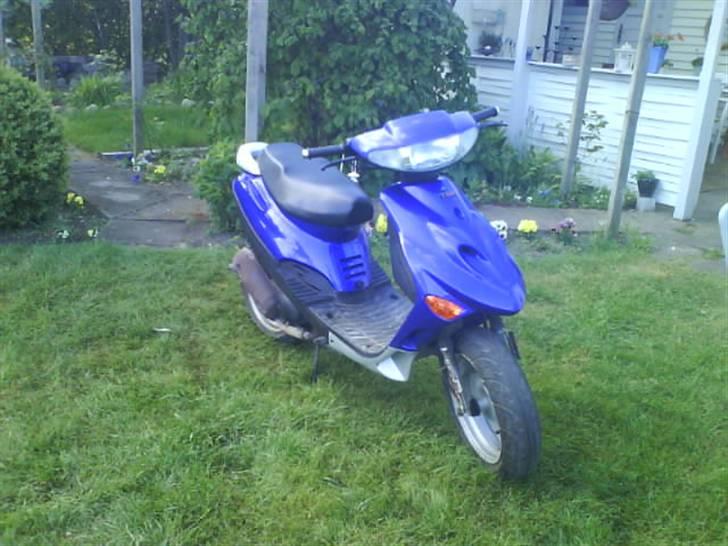 Adly silwerfox  [solgt] billede 1