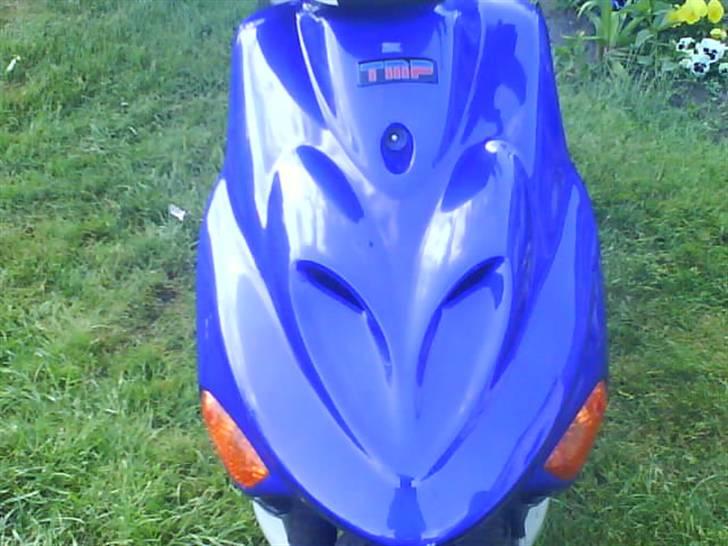 Adly silwerfox  [solgt] billede 2