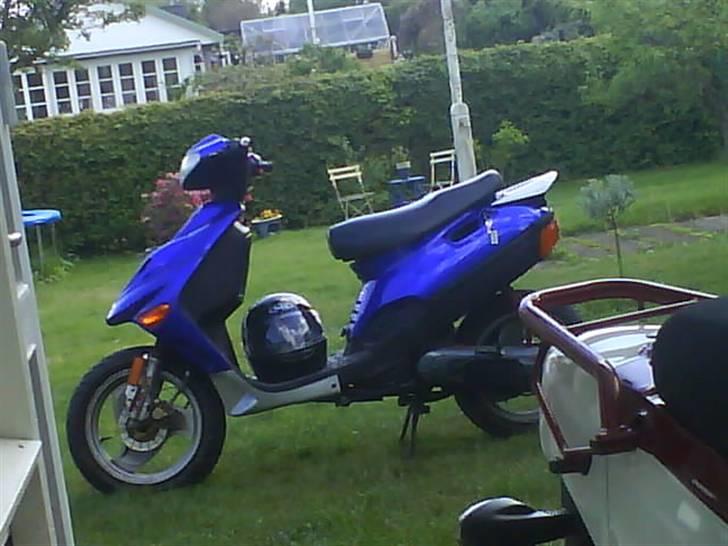 Adly silwerfox  [solgt] billede 3