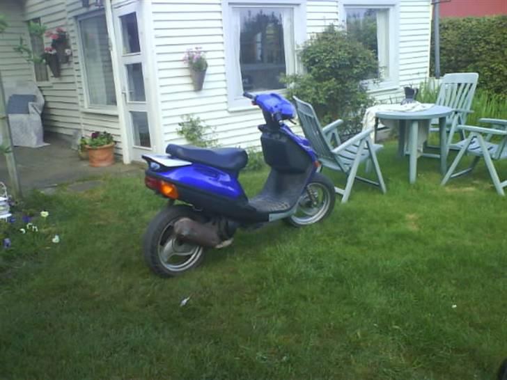 Adly silwerfox  [solgt] billede 4