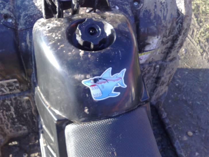 MiniBike 110cc ATV (solgt) billede 18