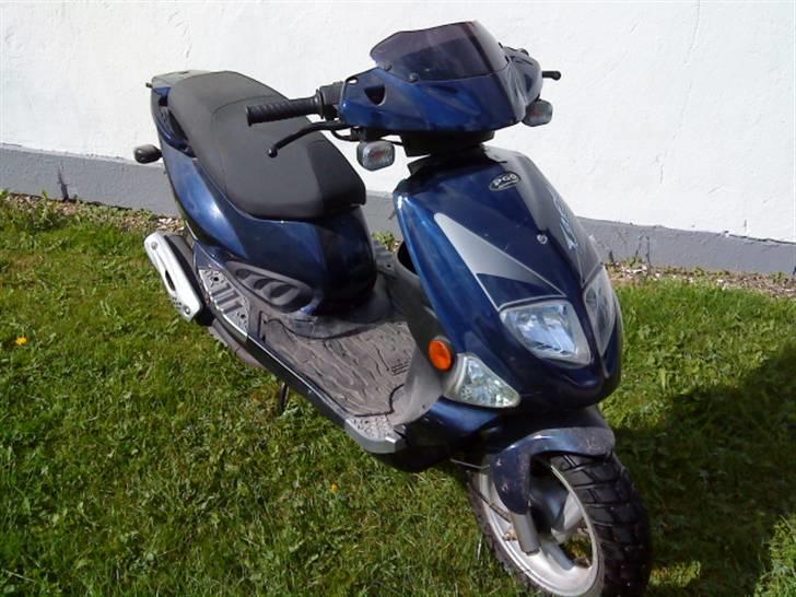 PGO T-rex 50  [bane projekt] billede 1