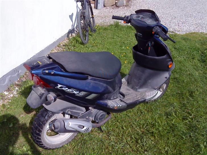 PGO T-rex 50  [bane projekt] billede 5