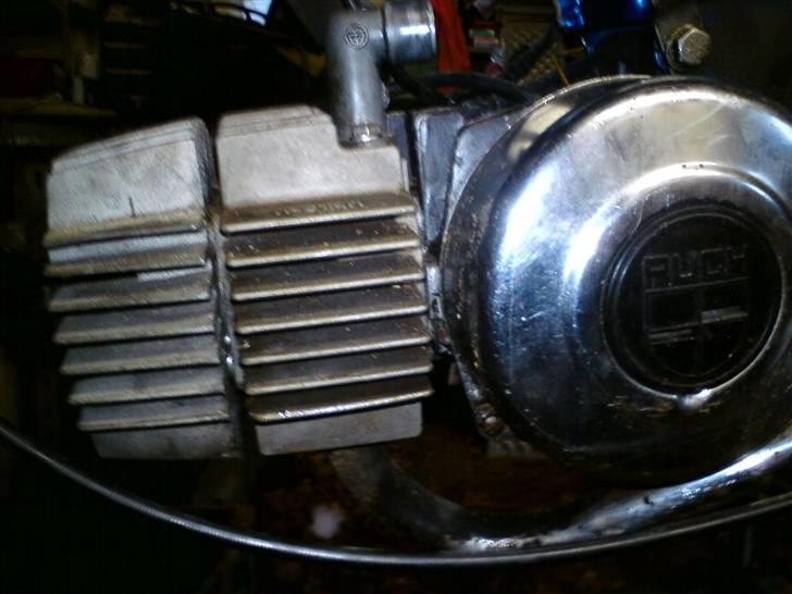 Puch Maxi billede 12