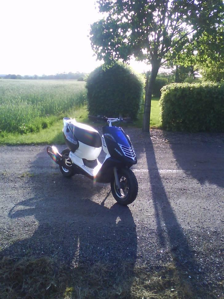 Aprilia sonic billede 5