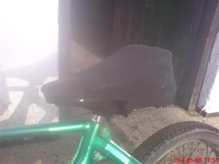 Puch Athena maxi (byttet) billede 4