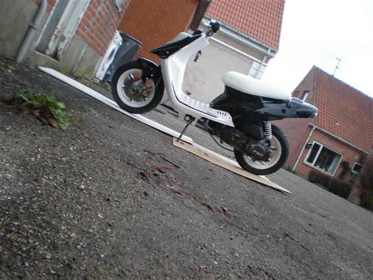 PGO hot 50 Black Pearl. SOLGT - NYT! (Fed vikel, læg mærke til dørkpladen, ikke er monteret med skuer endnu.) billede 8