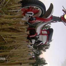 Suzuki Fz 50/Danskeren .:Solgt:.