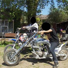 MiniBike pocket-harley ( SOLGT )