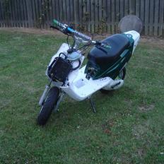 PGO evo hot/RR lc (70%)  