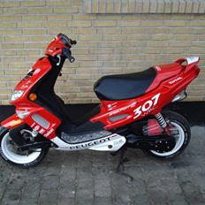 Peugeot Speedfight 307 wrc SOLGT