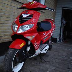 Peugeot Speedfight 307 wrc SOLGT