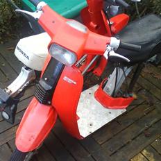 Honda melody nt 50 (SOLGT)