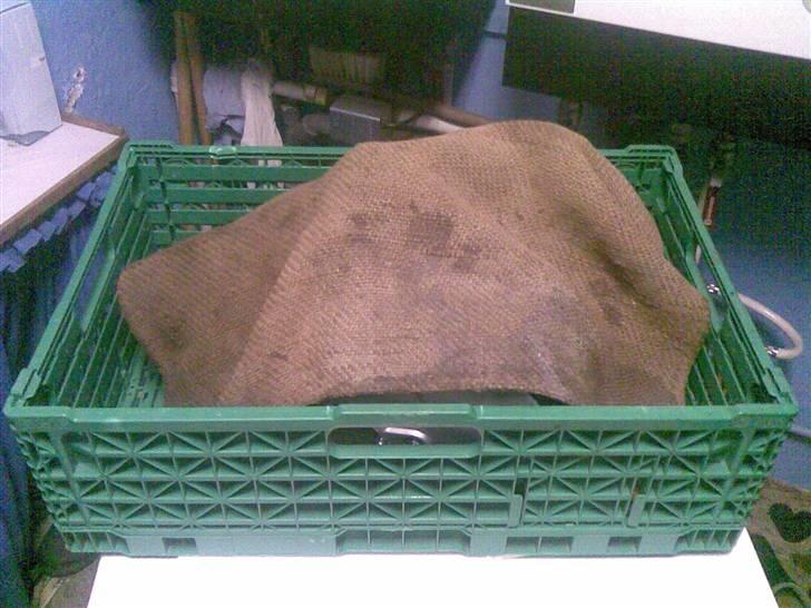 Yamaha FS1 K1 (projekt) - hva´ det ?:o billede 11