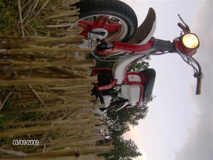 Suzuki Fz 50/Danskeren .:Solgt:. billede 1