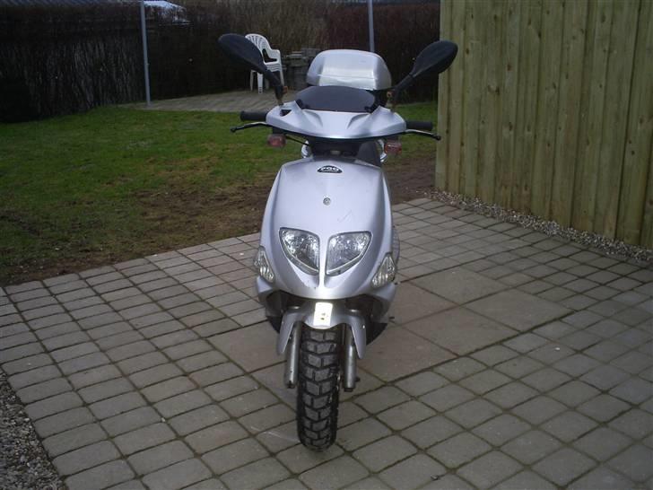 PGO t rex (solgt) billede 1