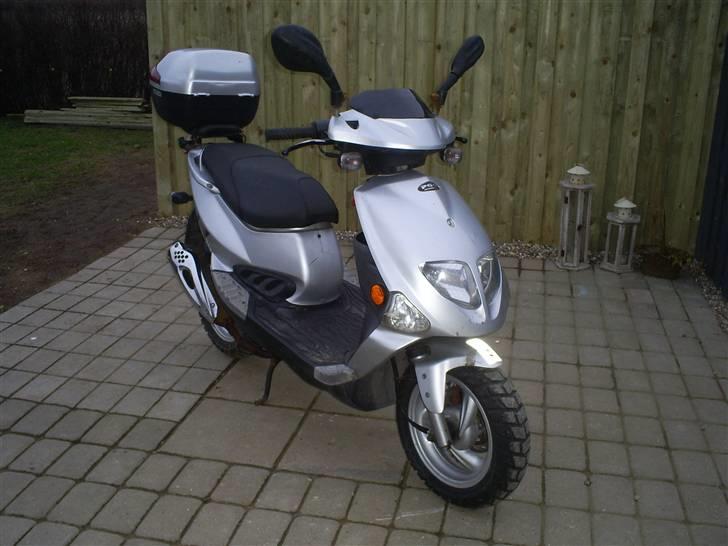 PGO t rex (solgt) billede 2