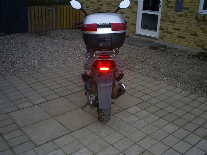 PGO t rex (solgt) billede 5