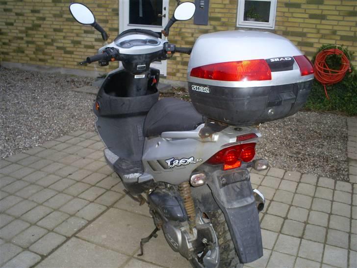 PGO t rex (solgt) billede 6