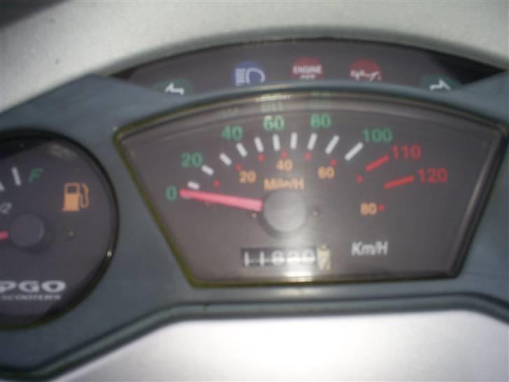 PGO t rex (solgt) billede 7