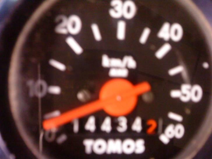 Tomos Quadro  billede 2
