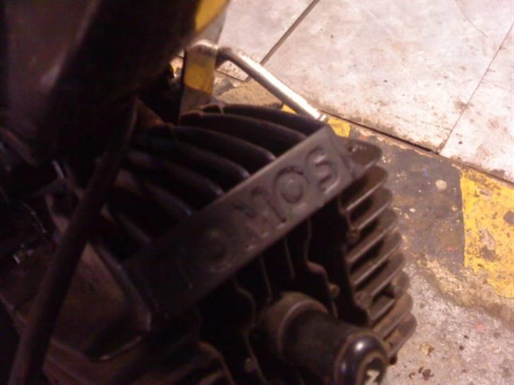 Tomos Quadro  billede 4