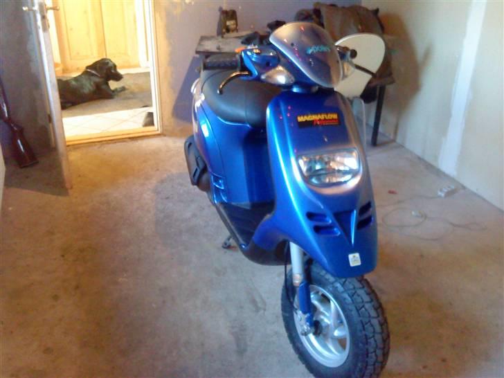 Piaggio Typhoon billede 1