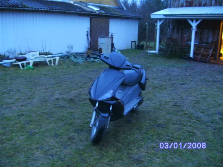 Benelli 491!.. - Den er sku lækker :p billede 1