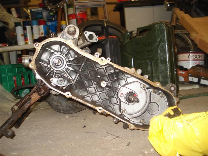 PGO evo hot/RR lc (70%)   billede 6