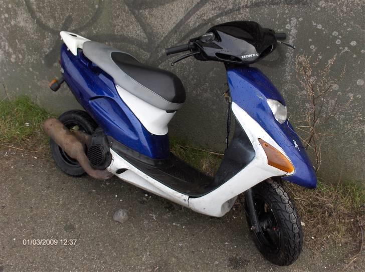 Honda SFX - solgt billede 1