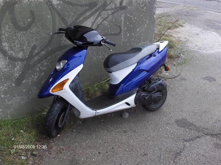 Honda SFX - solgt billede 2