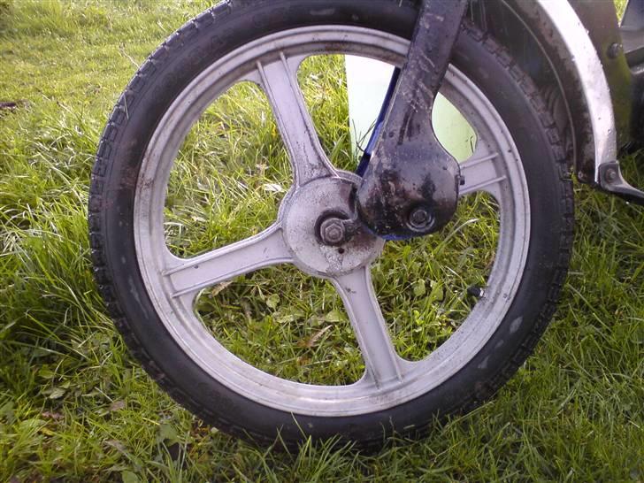 Vespa caio SOLGT billede 4