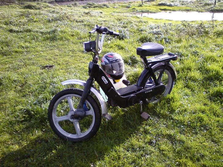 Vespa caio SOLGT billede 5
