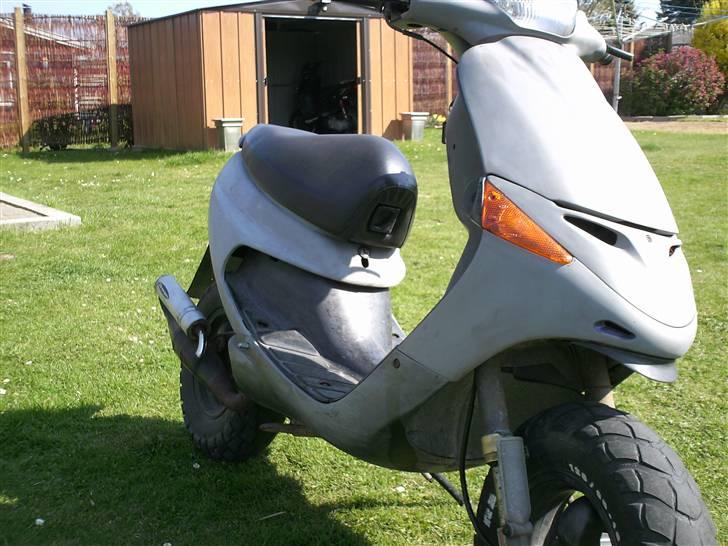 Peugeot Buxy ( LEA ) - "Lea" i fuld profil i sine naturlige omgivelser <3 billede 1