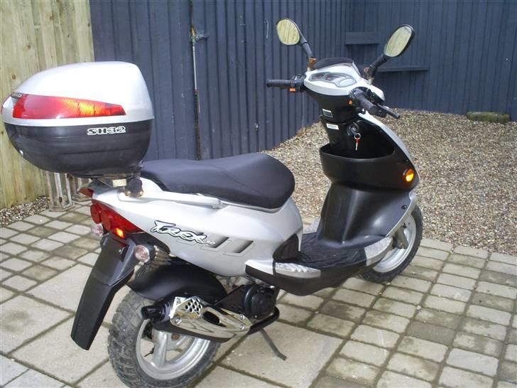 PGO t rex (solgt) billede 8