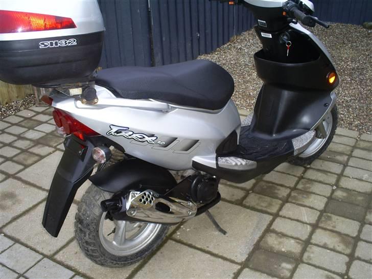 PGO t rex (solgt) billede 9