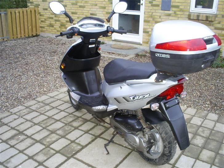 PGO t rex (solgt) billede 10